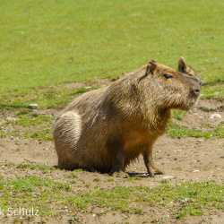 Tierpark Hellabrunn